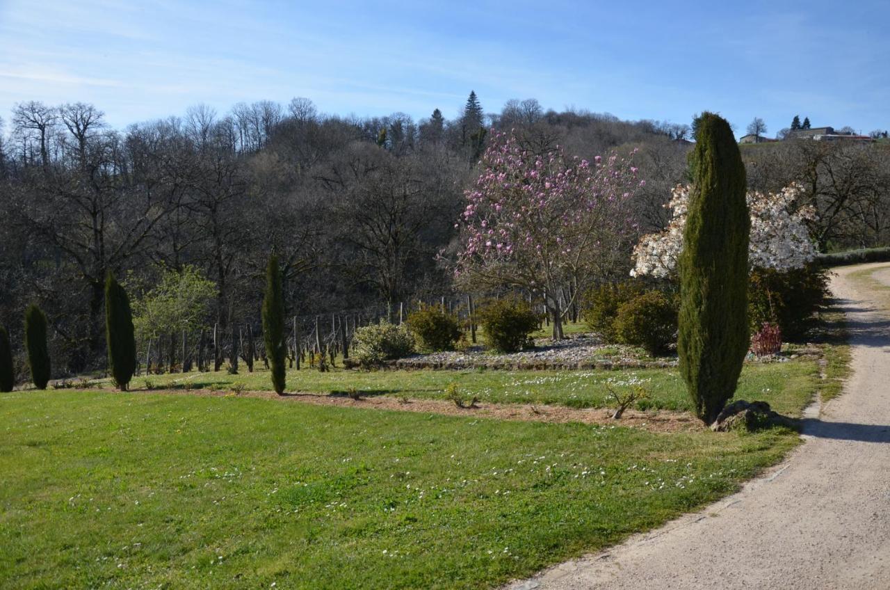 Apartmán La Vigneraie Albiac Exteriér fotografie